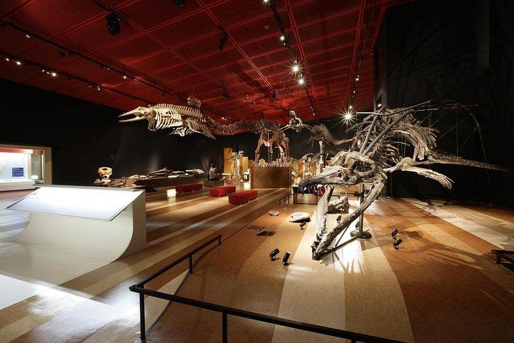 Coal & Fossil Museum Admission Ticket