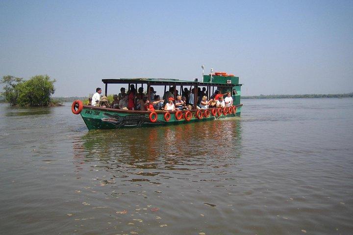 Crocodile spotting with walking tour of local plantation in Goa