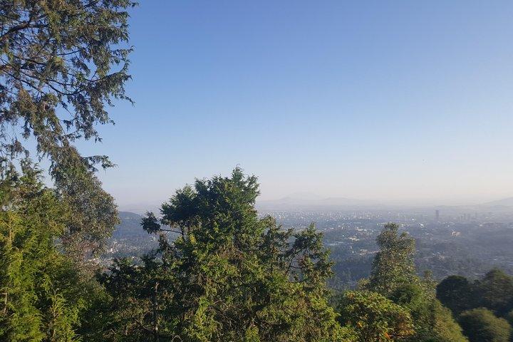 Full Day Tour of Addis Ababa with Hotel Pickup and Drop-off