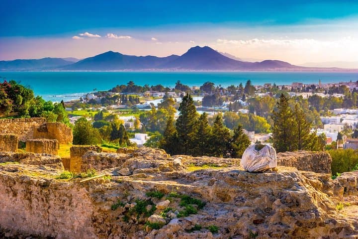 Tunis: Carthage, Bardo Museum, Sidi Bou Said & Medina Group Tour