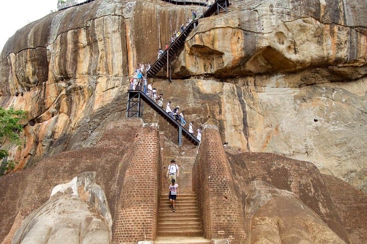 Private Day Trip to Sigiriya cave and National park Safari Tour