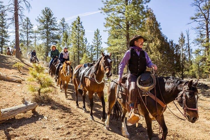 Ruby's Horseback Adventures Utah Thunder Mt. 4 Hour Ride