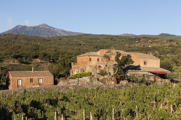 Private 6-Hour Tour of Three Etna Wineries with food&wine tasting