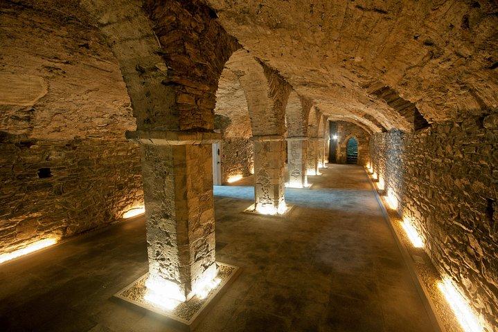 Waterford Treasures: Medieval Museum Admission Ticket
