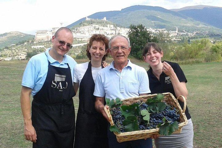 Rich aperitif 5 wines and walk in the vineyards