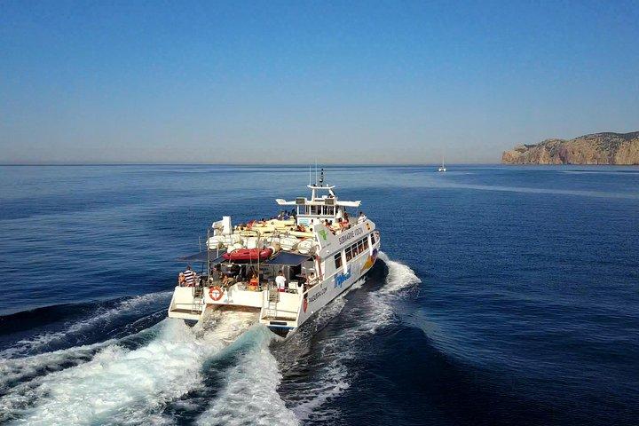 Dolphin Watching Experience in the Southwest Coast of Mallorca