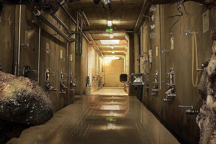 Renacer Winery Experience