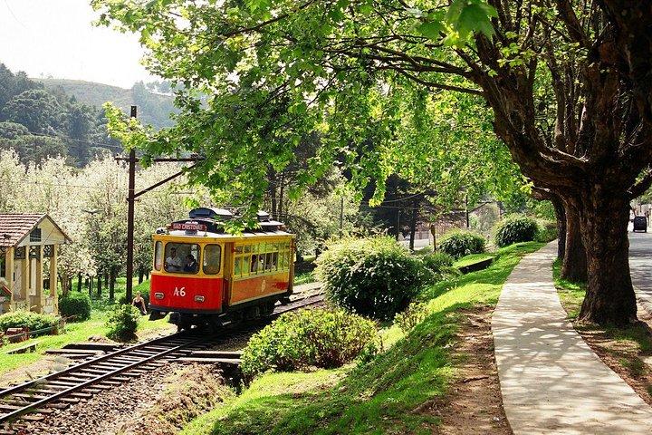 The Brazilian Switzerland - Day Trip on Campos do Jordão from São Paulo