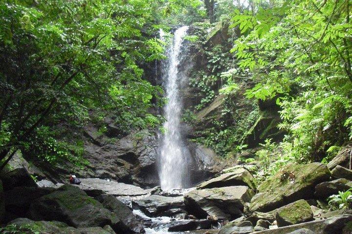 Hidden Gem: Avocat Waterfall Hike & Beach Stop in Trinidad