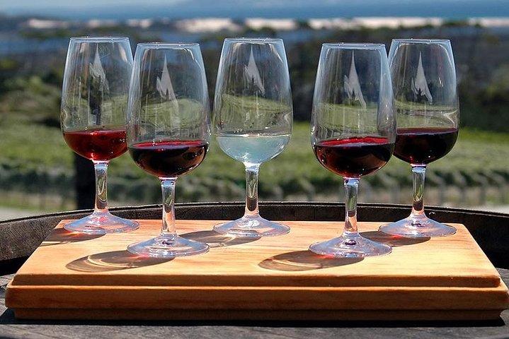 Etna Tour and Lunch in a Winery with Wine Tasting