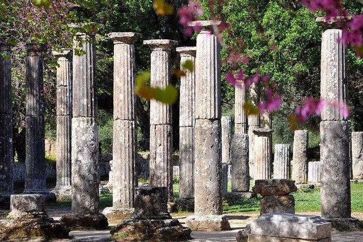Olympia Shore Ex: Olympic site, Honey Farm & Olive Oil Tasting