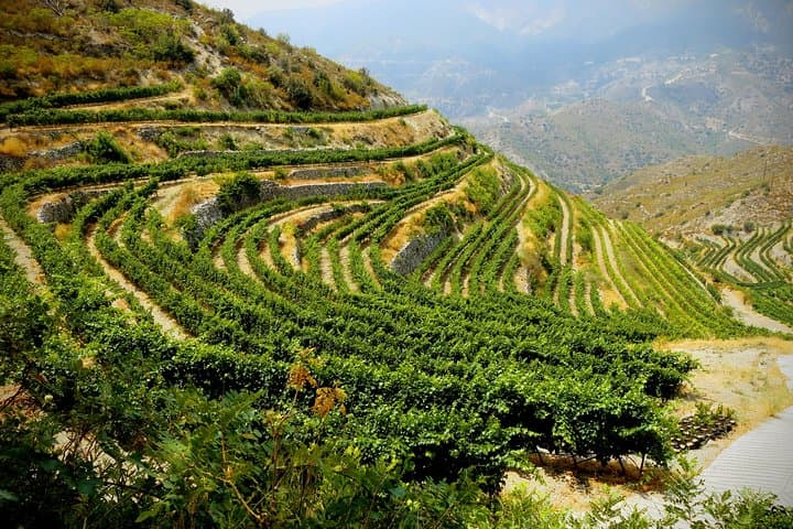 Troodos Mountains Vino Venture: All Inclusive Full Day Wine Tour