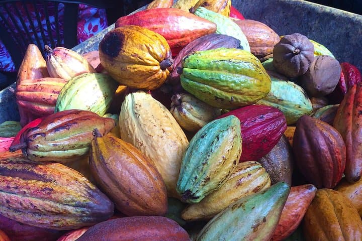 Chocolate and Cobblestones Tour with Taste of San Miguel