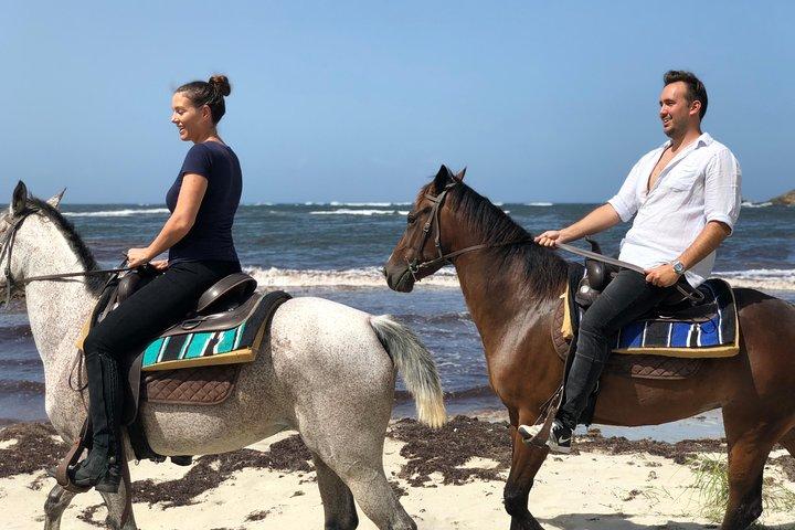 Private Beach Horseback Ride with Sandy Hoofs St. Lucia