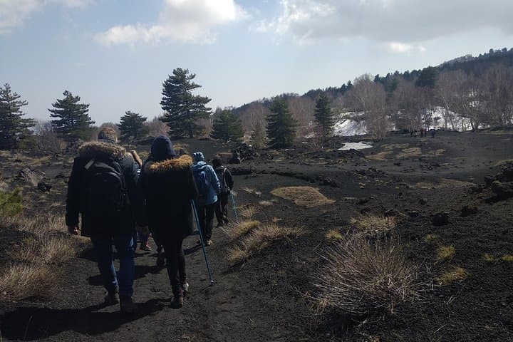 Mount Etna Half-Day Small Group Tour from Taormina