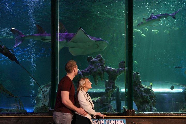 SEA LIFE Blackpool Admission Ticket