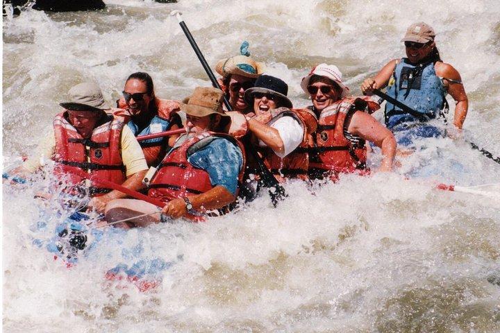 Racecourse half day class 3 most popular in New Mexico