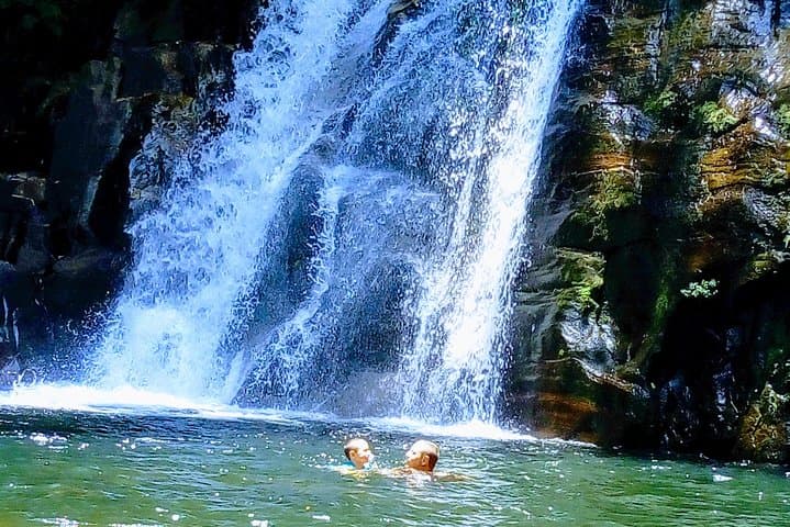 Sinharaja Rainforest Tour - Hotel Pick-up and Transfers Including