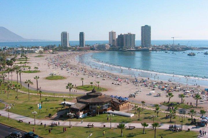 City tour of Iquique with navigation to the Esmeralda buoy
