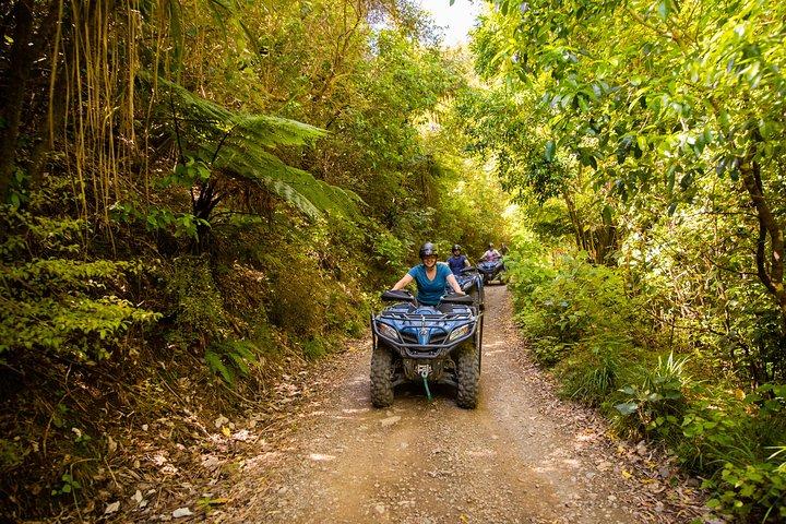 Quad Biking adventure through native forest & farm tracks