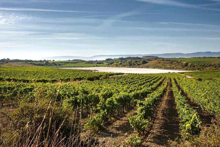 Rioja Wine Tour: wineries and Laguardia from Bilbao