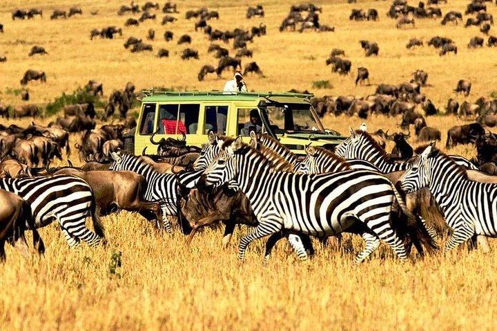 7 Days Tanzania Luxury Safaris
