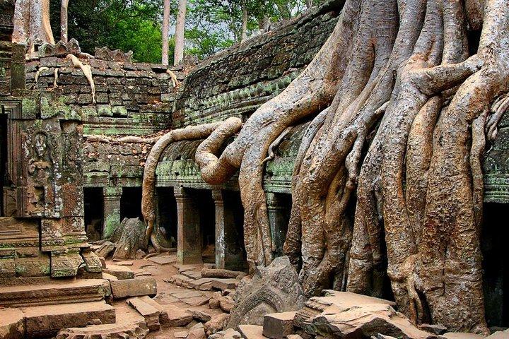 Angkor Wat Sunrise or Sunset Tour with Guide from Siem Reap