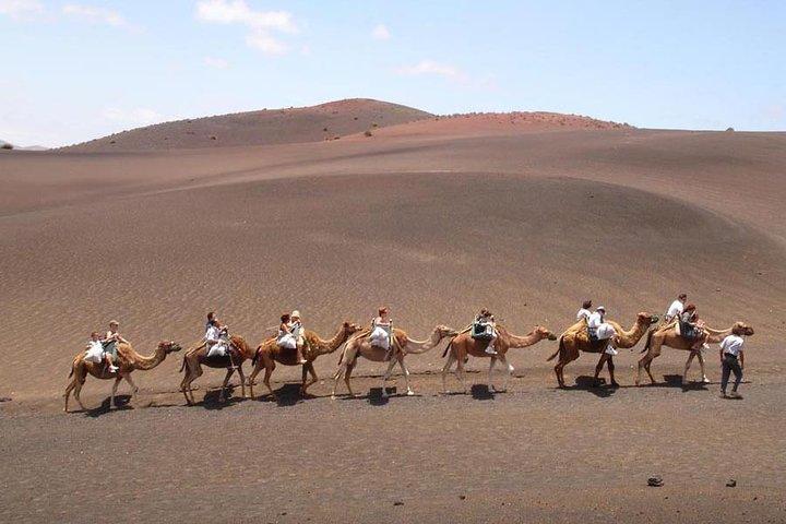 Full Day Tour to Timanfaya, Green Lagoon and La Geria