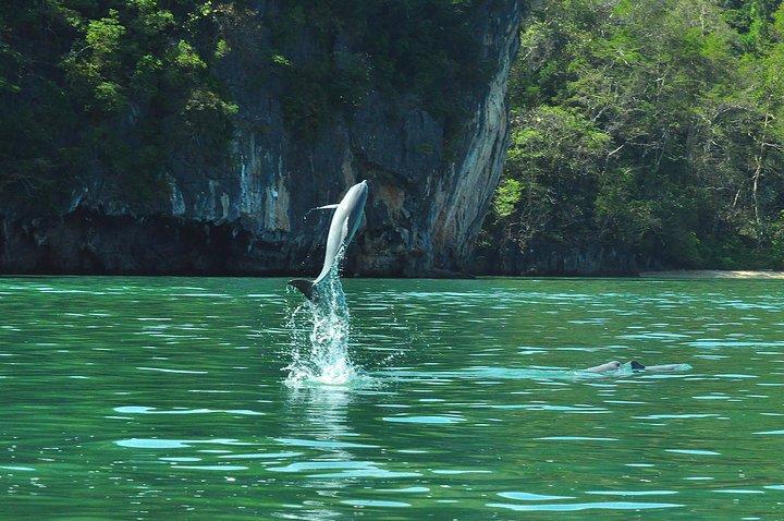 5 Hours Sharing Basis Kilim Mangrove Safari Boat Tour in Langkawi