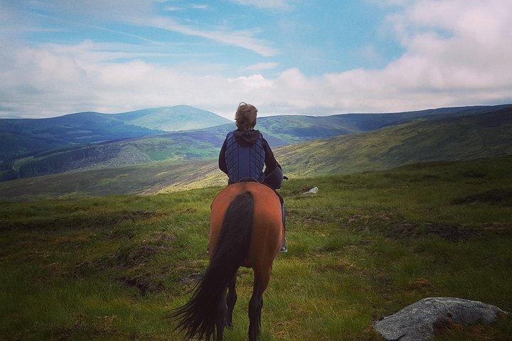 Wicklow Mountains Horse Trekking