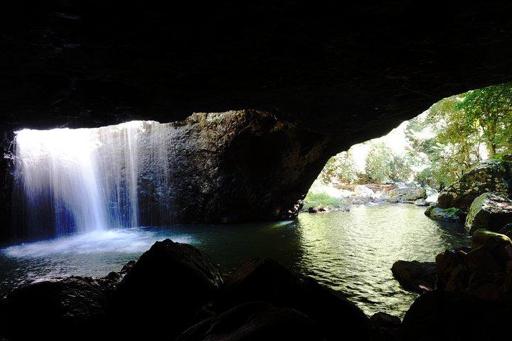 Glow Worms + Day/Night Rainforest & Waterfalls Experience