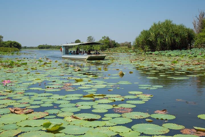 1 Day Corroboree Billabong Wetland Experience including 2.5 hour cruise + lunch