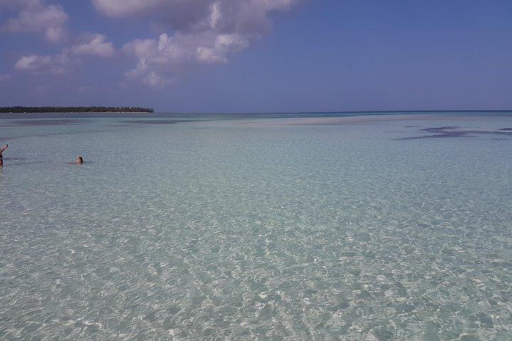 Luxury Reef and Nylon Pool Adventure