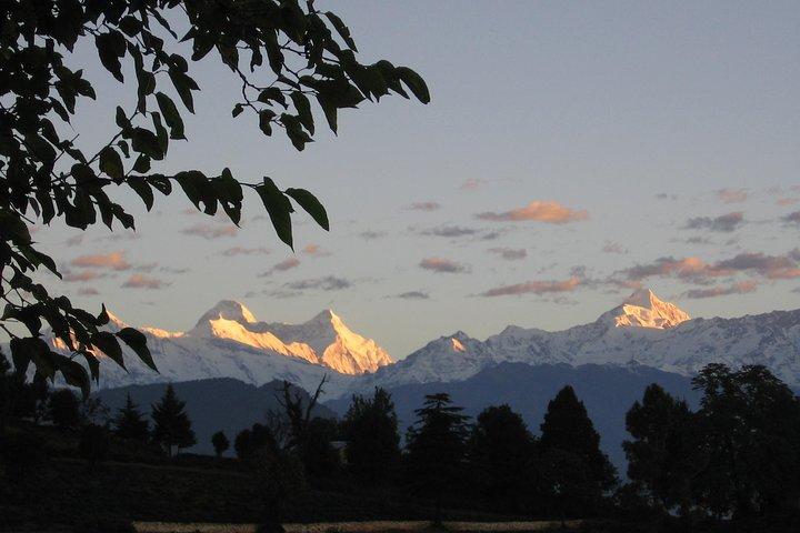 Kumaon/Binsar Sanctuary Walking Holiday