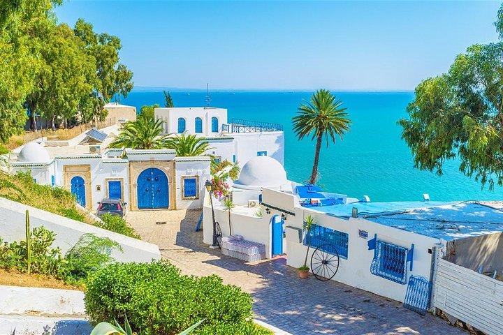 Tunis, Sidi Bousaid and Carthage day trip from Hammamet