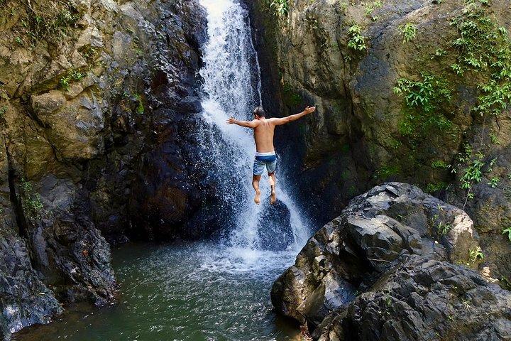 Top Rated El Yunque Rainforest & Waterslide – SmallGroup Tour