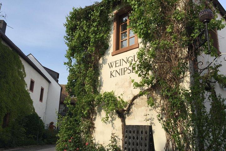 Discover Germanies best Red wines & dry Riesling in the Pfalz