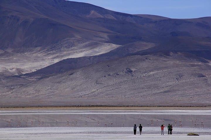 Iquique, Salar del Huasco National Park - Full day