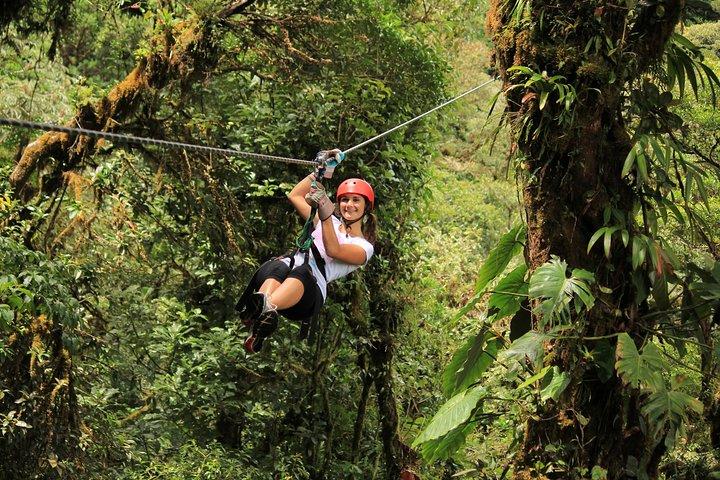 Selvatura Park Combo Tour From Monteverde
