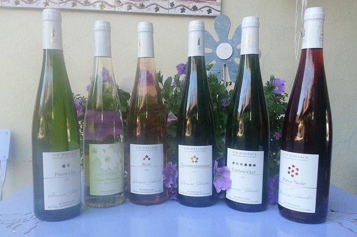 Winemaker's aperitif with Wine Tour and Wine Tasting