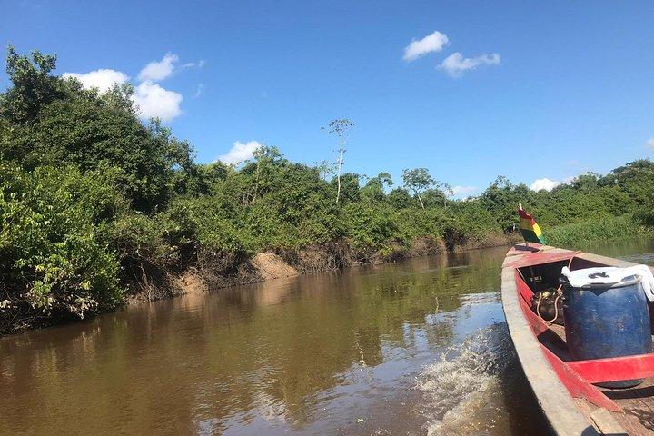 Rurrenabaque Pampas. 3 Days & 2 Nights.PRIVATE TOUR 3PPL MIN