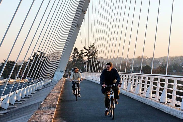 Strasbourg Sightseeing Kehl Bike Guided Tour