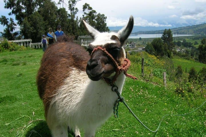 Otavalo Market & Peguche Waterfall Private Tour