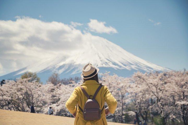 Mt. Fuji & Hakone Private Day Tour with English-Speaking Driver