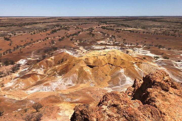 Dinosaur Stampede 3/4 Day Tour from Winton