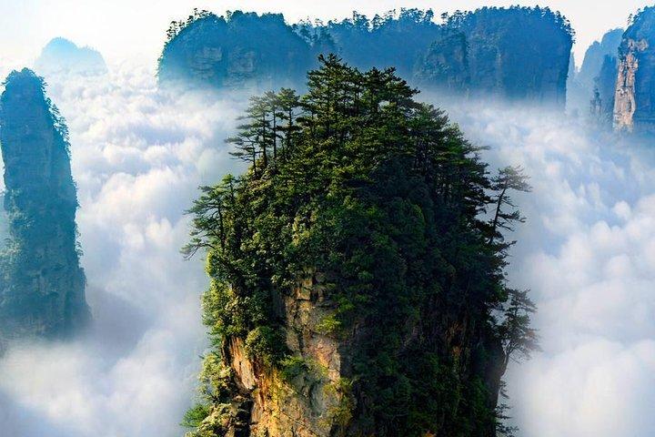 1 "Pandora" Day Trip-Zhangjiajie National Park(Avatar Mountain Scenery)