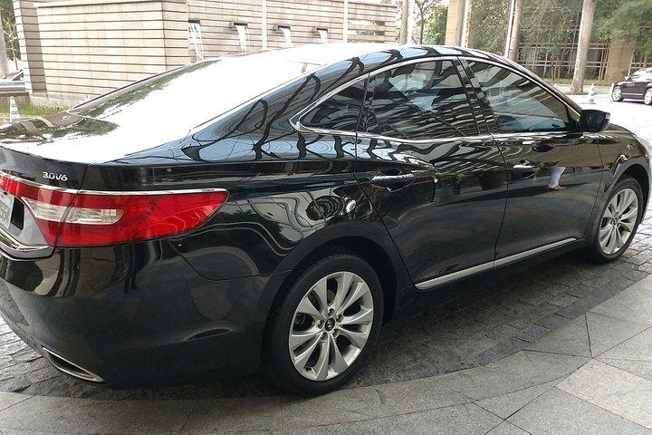 Bilingual Driver-Transfer from GRU Airport to São Paulo DOWNTWON