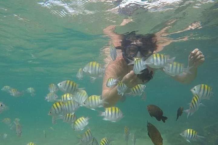 Regular Tour to Forte Beach - Leaving Salvador by Bahia Top Turismo