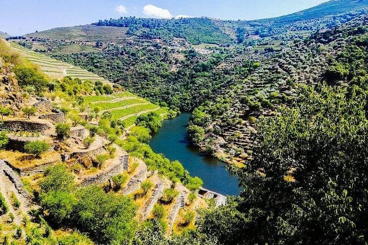 Best of Douro Valley Wine Full Day Private Tour