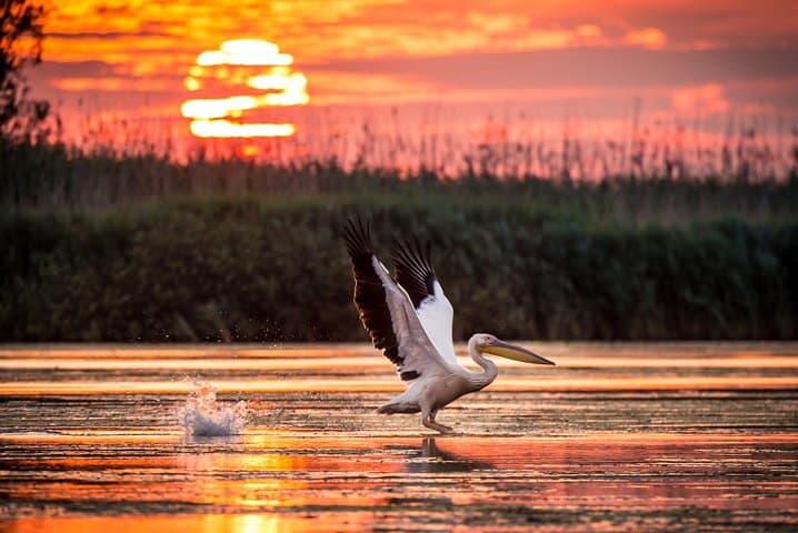 Day trip to the Danube Delta from Tulcea